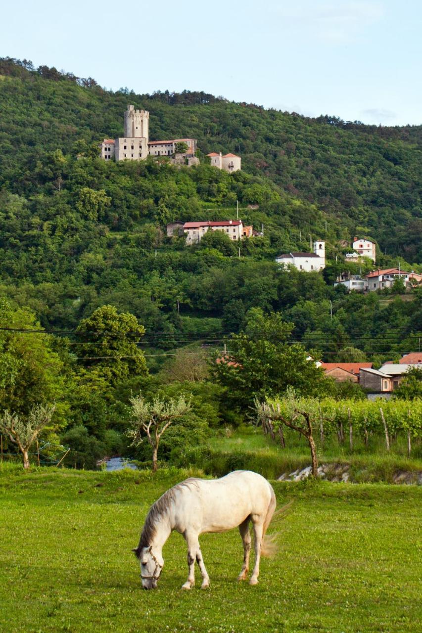 Guesthouse Osterija Branik Zewnętrze zdjęcie